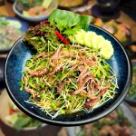 Salad rau mầm bò một nắng
